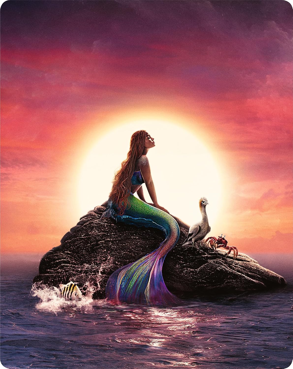 Disneys The Little Mermaid Live Action 2023 4K UHD Steelbook [Blu-ray] [Region A & B & C]
