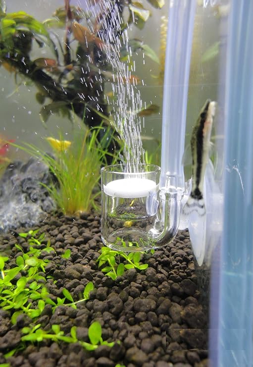 Pollen Glass CO2 Diffuser for Aquarium Planted Tank (3/4" for Below 20 US gallons)