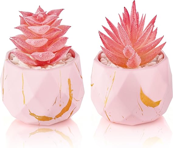Der Rose 2 Pack Small Fake Succulents in Pink Pots for Office Desk Decor