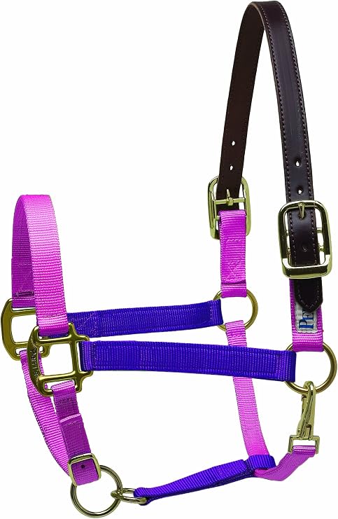 Perri's Horse Two Tone Nylon Safety Halter