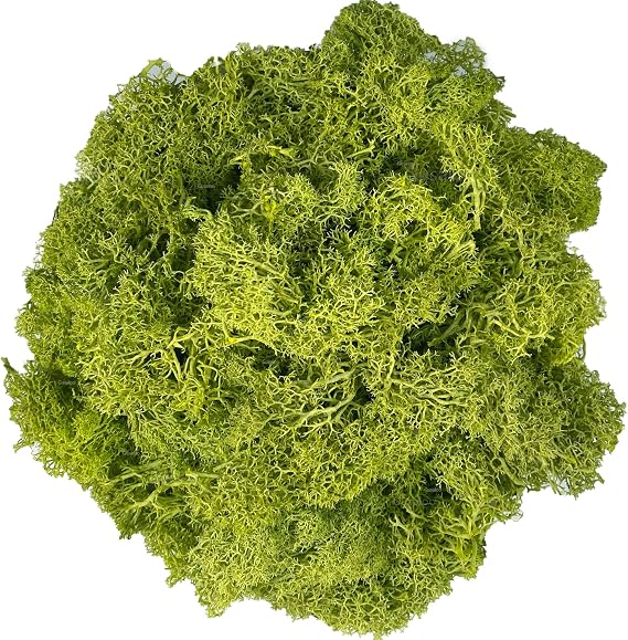 Moss Preserved Artificial Moss for Potted Plants Natural Fresh Green Moss for Craft Arts Floral Wall Decor Wedding Centerpieces Garden Terrariums Decoration - Lemon Yellow 3.5OZ