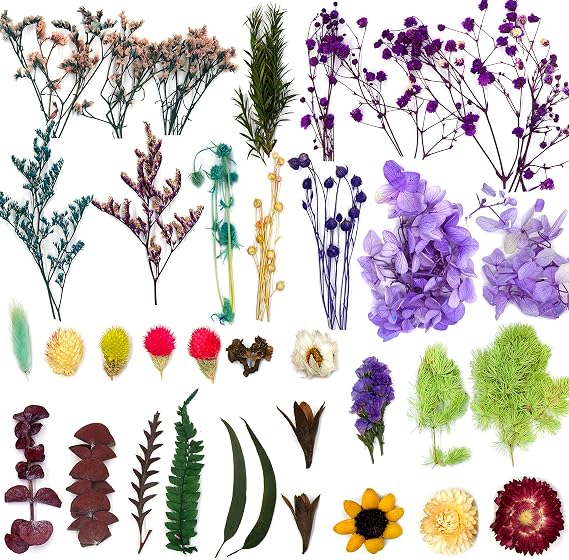 Natural Dried Flowers & Herbs for Candles Making, soap, Candle Oil, Bath Bombs, Essential Fragrant (23 Kinds of Flowers, Box of Flowers (for Resin))