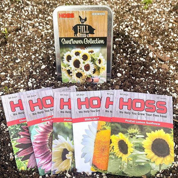 Hoss Cog Hill Sunflower Seed Collection