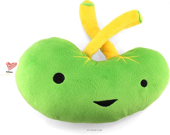I Heart Guts Spleen Plush - Lymphin' The Dream - Cute Educational Organ Toy Spleen Removal, Splenectomy - Funny Get Well Recovery Gift for Doctor Nurse Patients & Medical Student STEM Anatomy Plushie