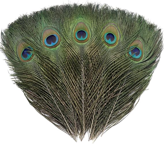Ballinger Natural Craft Peacock Feathers Bulk,16Pcs,10-12inch